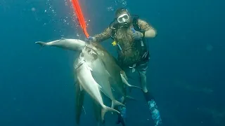 Commercial AJ with sharks