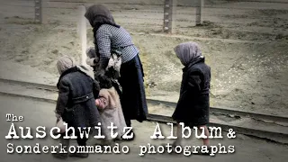 The Auschwitz Album and Sonderkommando photographs