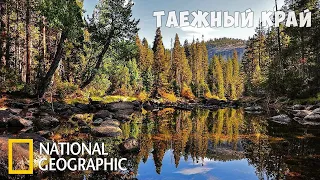 Таёжный край Дикая природа России. Фильм 5 из 6 (National Geographic)