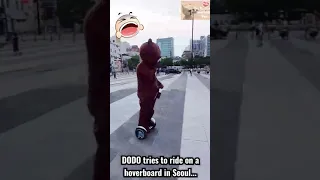 BROWN BEAR RIDING ON A HOVERBOARD SPOTTED IN SEOUL