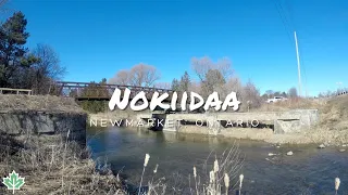 Walking the Longest Paved Trail in Town | Nokiidaa Trail | Newmarket