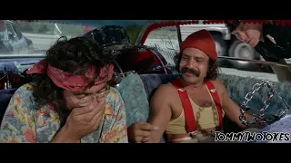 Up in Smoke: "Mostly Maui-Waui, but It's Got Some Labrador In It" | Cheech & Chong Scene