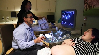 Meet Our Doc: Michael Zaretsky, MD, Maternal Fetal Medicine