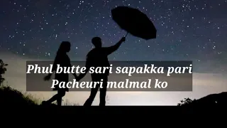 Phul Butte Sari (Lyrics) - (Cover by Pratik Gurung)