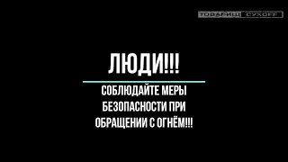 Пожар в лесном массиве за Музыкальной школой г.Зеленогорск 25.04.2020г.