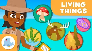 The Classification of Living Things 🦠 🐰 5 ANIMAL KINGDOMS 🌱 Science for Kids