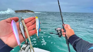 FUI SOZINHO PARA O MAR! Usei as MELHORES ISCAS e TECNICAS para PESCAR ANCHOVAS e SOROROCAS no MAR