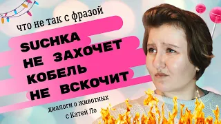 🔥СГОРЕЛА: С*ЧКА НЕ ЗАХОЧЕТ— КОБЕЛЬ НЕ ВСКОЧИТ | Что с этим не так? Развеиваю мифы