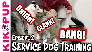 Service Dog Training - Public Access Training Episode 2 - MASTERING Public Restrooms!
