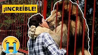 6 Emotivos Reencuentros De Animales Con Sus Dueños😭😭 | PARTE 3