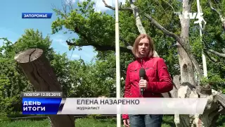 Новости ТВ-5 12 05 2015
