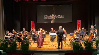 Mio Imai, Pergolesi / Concerto in B flat major