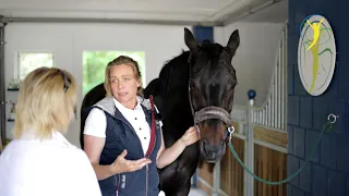 Pferd hat chronischen Husten und schüttelt ständigt mit dem Kopf | Pferde Check bei Ariane Telgen