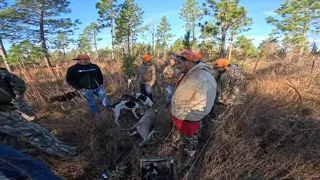 Deer Doggin On Public Land| Lost Tribe Hunting Club 2023 Deer Season