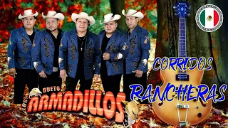 DUETO LOS ARMADILLOS DE LA SIERRA  MIX EXITOS - RANCHERIANDO CON GUITARRAS-EXITOS GUITARRAS