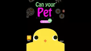 I played the game can your pet new video.