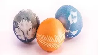 How to Make These Pretty Naturally Dyed Easter Eggs