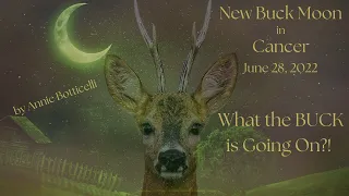 New Buck Moon in Cancer WHAT the BUCK is GOING ON?! (Astrology)