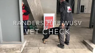 WUSV Vet Check 2018