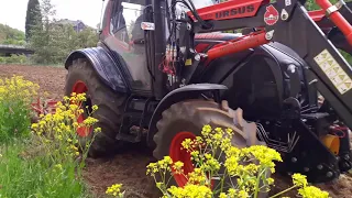 Ursus C-395 black bear bei der Arbeit mit dem Kultivator / Federzinken Grubber