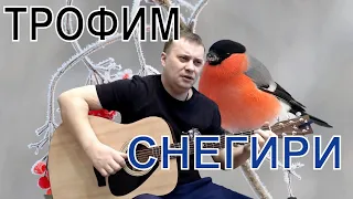 Снегири /Трофим /под гитару