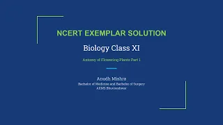 Anudh Mishra  | NCERT Exemplar Solution | Biology XI | Antomy of Flowering Plants Part 1