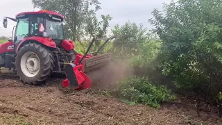 Traktor BASAK 2110 pracujący w Zakładzie Usług Leśnych (ZUL). 110 KM. Mulczowanie.