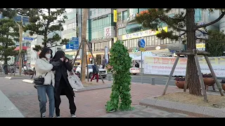 Bushman Prank in South Korea(광안리) part2