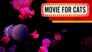 Movie for Cats - Sparkling Jellyfish (Videos for Cats to watch) 3 Hours