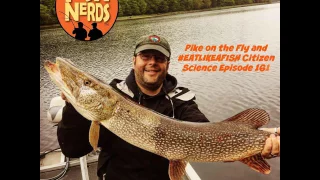 Fish Nerds Podcast Pike on the Fly and Eat like a fish Citizen Science