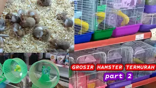 PART 2 Riview Grosir Hamster , kelinci , marmut & Acecoris lainya