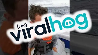 Whale Breaches Near Boat in Castletownbere Harbour || ViralHog