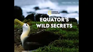 Необычная природа экватора / Equator's Wild Secrets Серия 1 Галапагосы