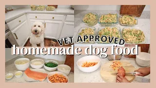 HEALTHY HOMEMADE DOG FOOD RECIPE | HOW TO COOK FOR YOUR DOG AT HOME | SALMON DOG FOOD RECIPE