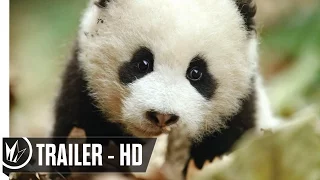 Disneynature's: Born In China Official Trailer #1 (2017) -- Regal Cinemas [HD]