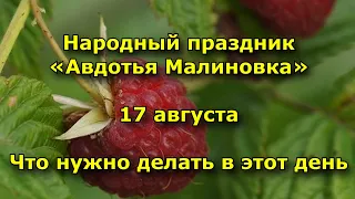 Народный праздник «Авдотья Малиновка». 17 августа. Что нужно делать в этот день