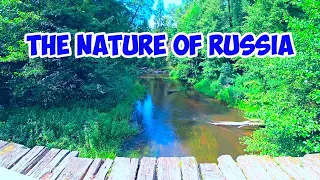 Russian nature. Natural park in the Kaliningrad region.