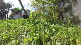 Weed Eater in Slow Motion