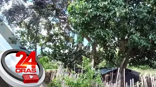 Iwasang manatili sa ilalim ng puno kung nasa malawak na kapatagan gaya ng bukid — PAGASA | 24 Oras