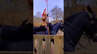 #shorts 🇬🇧LOOK  AT THOSE ELEGANCE IN MOTION: TRAINING THE HORSE GUARDS IN HYDE PARK! #london #travel