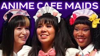 Anime Cafe Maids Probably Aren't What You Think They Are