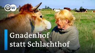 Ein Altenheim für Tiere an der Nordseeküste | Fokus Europa