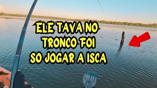Pescaria de caiaque no Rio Ribeirão da Fartura teve peixe de tudo que é jeito
