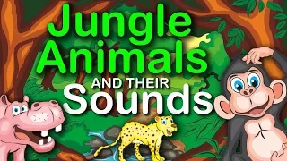 Jungle Animals and their Sounds | learning for kids