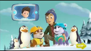 Мультик Щенячий патруль. Paw Patrol. Полная версия.