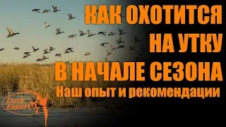 Как успешно охотиться на утку в начале сезона? Наш опыт и рекомендации