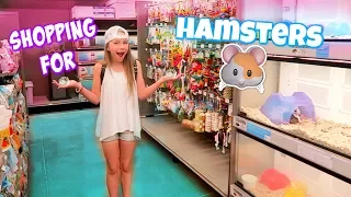 Getting 3 Hamsters! Shopping at Petco and PetSmart for Hamster Gear!