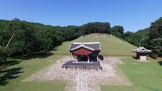 조선의 왕과 왕비 이곳에 잠들다 - 구리 동구릉