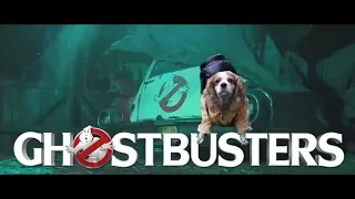 Ghostbusters 2020 Teaser Trailer Puppy