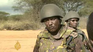 Kenya to 'continue fighting al-Shabab'